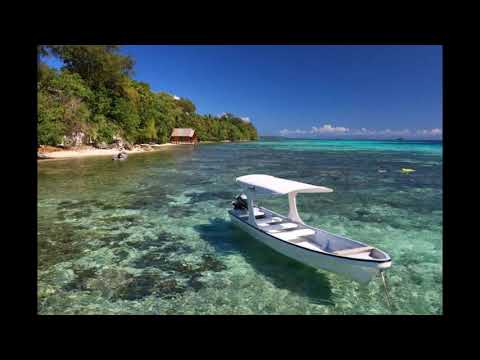 Mangi Sepik_ Jung D ft. Dr Wiz (Official)