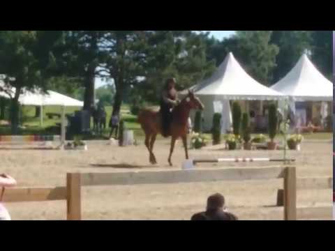 Skyler Unlimited Working Equitation Speed Munchen Pferd International M klasse 2017