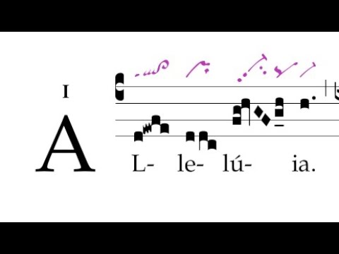 Alleluia: Ego sum pastor bonus