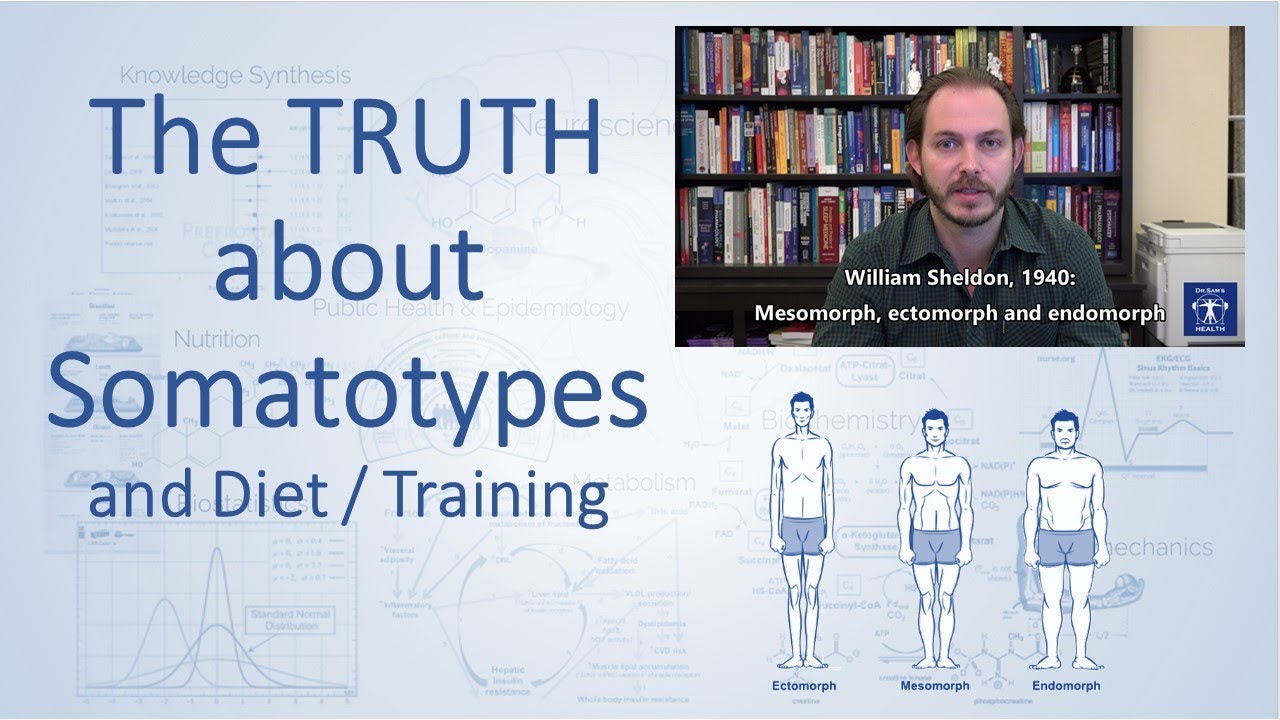 The TRUTH about Somatotypes and Diet/Training