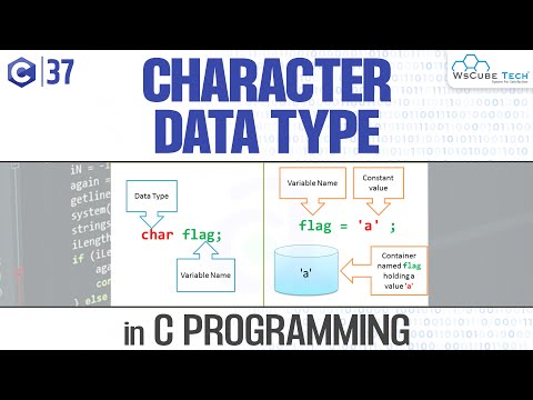 Computer Basics What is Computer with Full Information | C Programming Tutorial