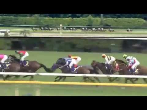 2014.05.25 Yushun Himba (Japanese Oaks) - Nuovo Record