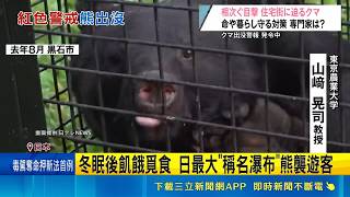 嚇壞！ 民眾目擊熊入侵大樓 員警急動員圍捕│記者 柯雅涵│國際關鍵字2026042120260516│三立iNEWS