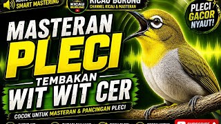 Download lagu 🔥 MASTERAN PLECI TEMBAKAN WIT WIT CER | Smart Mastering Audio Jernih | Bikin Pleci Cepat Gacor mp3