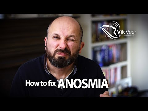 How to regain your sense of smell (medical evidence)