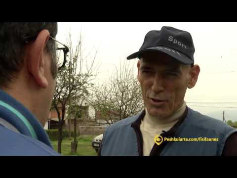 Fisi Faunes - Sezoni 3 / Episodi 9