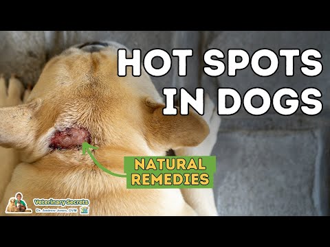 Ungguwento mula sa kuko halamang-singaw at foot balat Cream Lotseril presyo