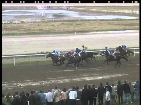 80 Srpski Trial Stakes Gr -1  Raskoljnikov - 26.05.2013