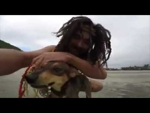 MORRE CACHORRO MORRE