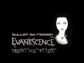 Bullet of Reason - Bring Me To Life (Evanescence ...