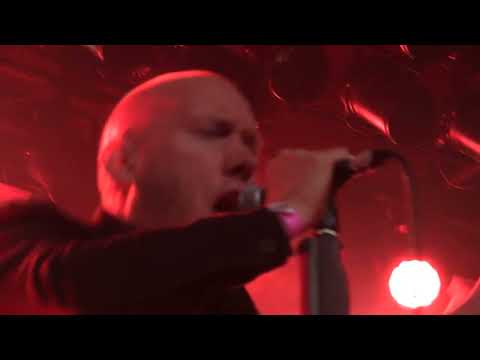 City Saints - Raise Your Fist