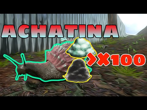Achatina: Better than beavers? Collecting polymer and cement / An interesting bug in ARK Mobile