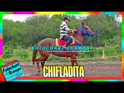 CHIFLADITA - Charadai - Chaco 17/12/2022
