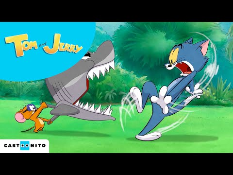Tom e Jerry | Pesca perigosa  | #Nova #Série | Cartoonito