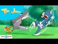 Tom E Jerry Pesca Perigosa Nova Série Cartoonito
