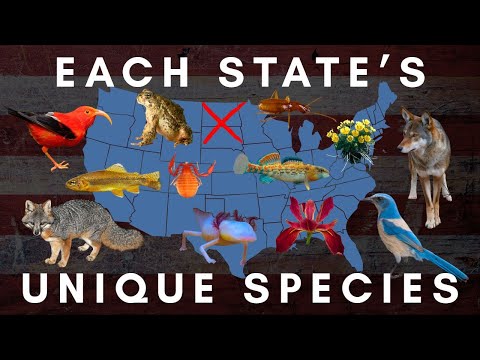 Only Found Here - Endemic Species in the United States