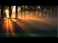 Enya - Only Time (Sweet November) 