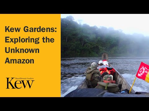 Kew Gardens: Exploring the Unknown Amazon
