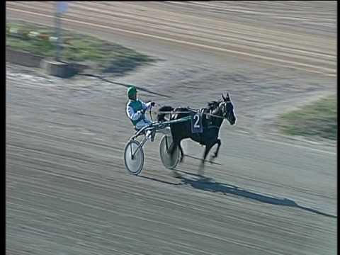 Trotto 05/05/2017 - prova di qualifica