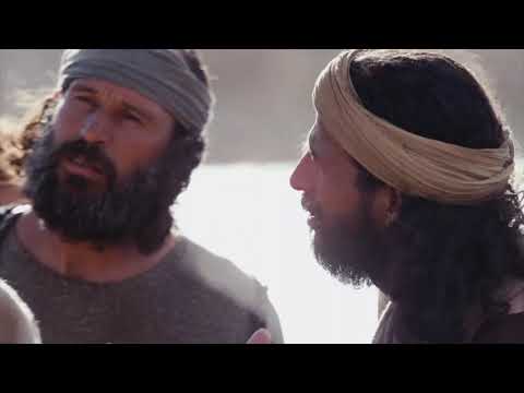 Sunday School in 7minutes  The Christian Church  Based on Mark 4:26–32 and Ephesians 4:4–6, 11–18 Fe