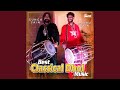 Feel The Violin With Dhol