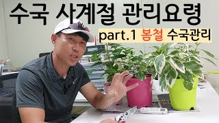 수국 계절별 관리 핵심포인트♧♧(1편 봄 관리요령)