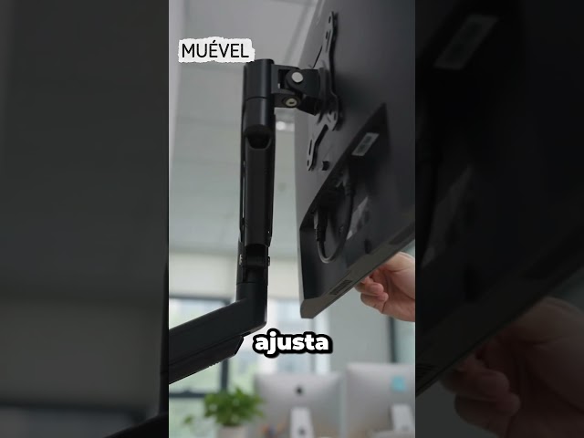 Vídeo relacionado con monTEK Soporte Monitor Pared 17-32", VESA 75/100mm hasta 9kg