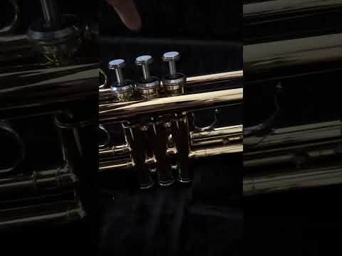 Yamaha YTR 2335 2011-12 - lacquered brass image 14