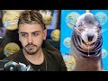 JE VOULAIS JUSTE RIRE AVEC VOS TIK TOK
