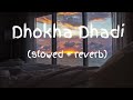 New Dhokha Dhadi Song || Use Headphone || slowed + reverb + lofi Music Lofi308