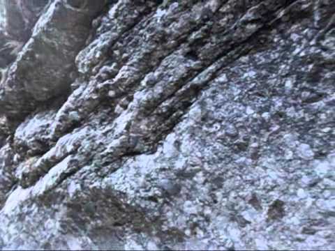 MUNTII BUCEGI VALEA COMORILOR