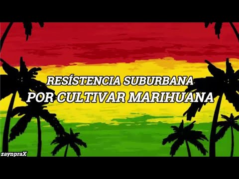 Resistencia Suburbana - Por Cultivar Marihuana (Letra)