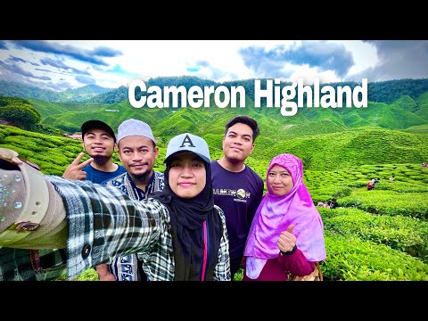 VLOG | Lavender Garden & Tea Valley, Cameron Highland 🏔️