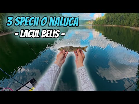 Pescuit Din Caiac Pe Lacul Belis | Berkley Power Nymph A Salvat Partida