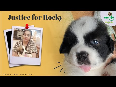 Death of an Innocent Dog  | Justice For Voiceless Soul | Smile With Priyanka