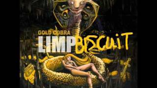 Limp Bizkit - Rock Ship (LEAKED + Download link)