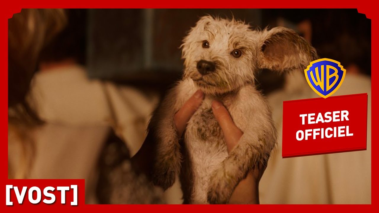 Supergirl | Teaser Krypto (VOST) | Milly Alcock, Jason Momoa