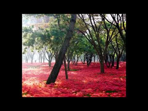 マノワール・ド・グラファール - 定義