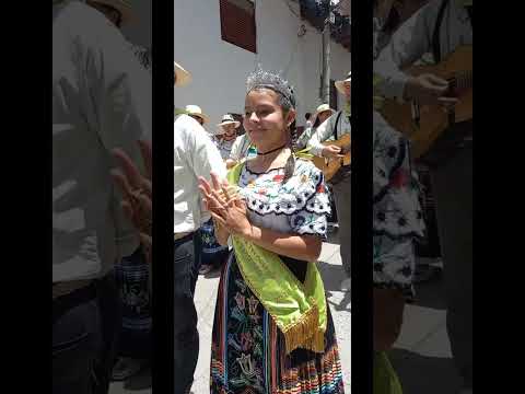  Preámbulo a las fiestas del Vélez Santander, Desfile  instituciones  eduactivas del municipio.