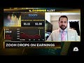RBC S Rishi Jaluria On Zoom Earnings Overall The Numbers Aren T As Bad As People Feared
