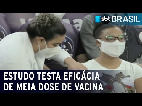Estudo testa eficácia de meia dose de vacina para lidar com escassez | SBT Brasil (21/09/21)