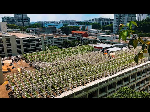, title : 'Singapore’s Bold Plan to Build the Farms of the Future'