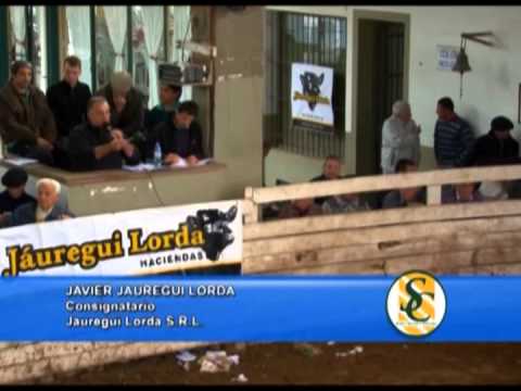 JAVIER JAUREGUI LORDA - Jauregui Lorda S.R.L. - Brandsen - 25/10/2013