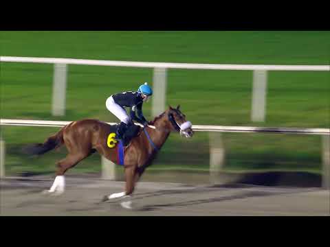 220731 c14 ROLLING STONE