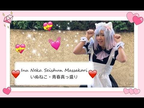 Inu Neko. Seishun Massakariいぬねこ。青春真っ盛りDance Cover