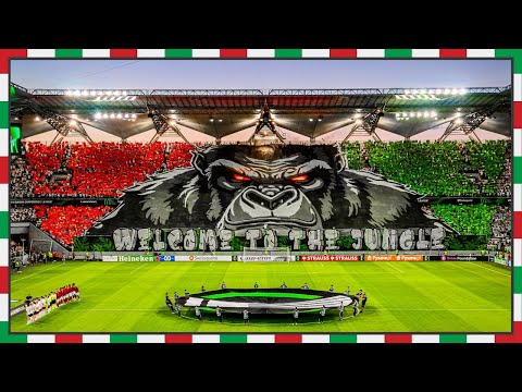 LEGIA: WELCOME TO THE JUNGLE