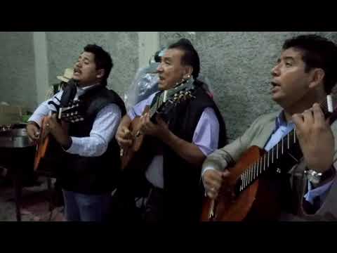 Tardes De Bohemia/Trío - Dios Me Lo Ha Dicho Ft. Ángel Fernando