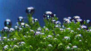 william shatner , what have you done.