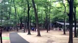 清水公園のイメージ