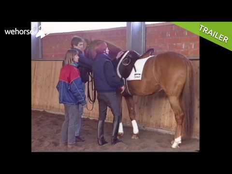 Wie reite ich ein junges Pferd an? | Rudolf Zeilinger